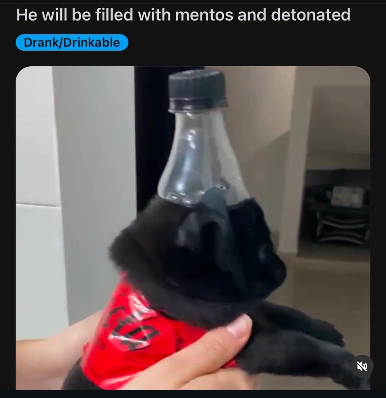 meme dump, funny memes, hilarious memes, meme collection, internet humor, viral memes, Sunday memes, weekend jokes, chill memes, downtime humor, relaxation jokes, dank memes, dank meme dump