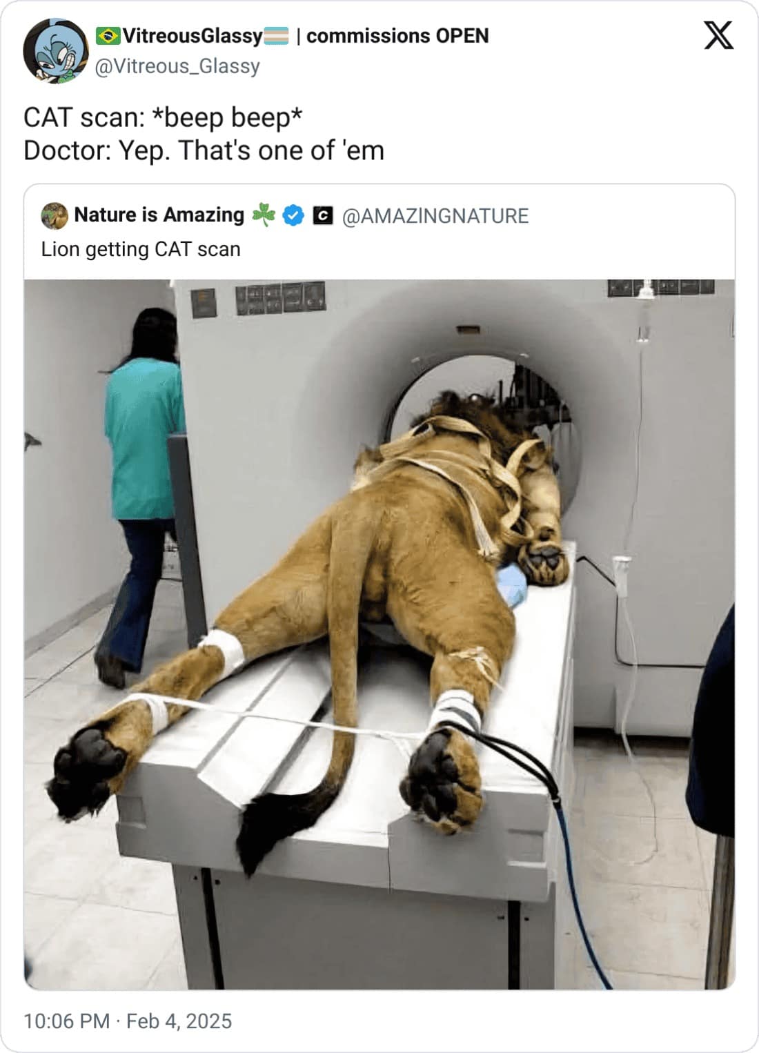 • VitreousGlassy @Vitreous_Glassy CAT scan: *beep beep* Doctor: Yep. That's one of 'em Nature is Amazing Lion getting CAT scan I commissions OPEN @AMAZINGNATURE 10:06 PM • Feb 4, 2025