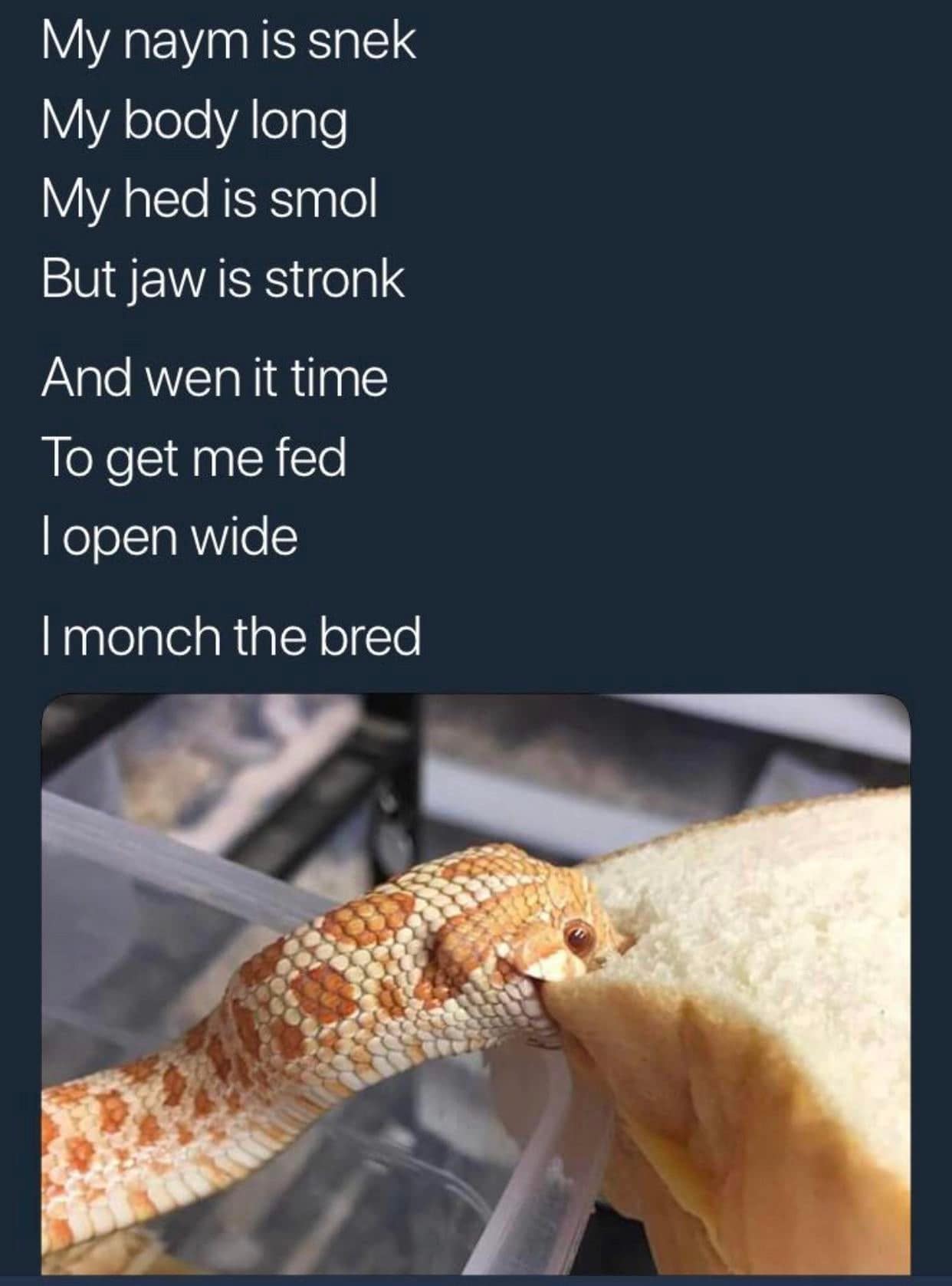 meme dump, funny memes, hilarious memes, dank memes, dank meme dump, meme collection, funny pics, internet humor, lunch break memes, office humor, social media jokes, relatable humor, online comedy