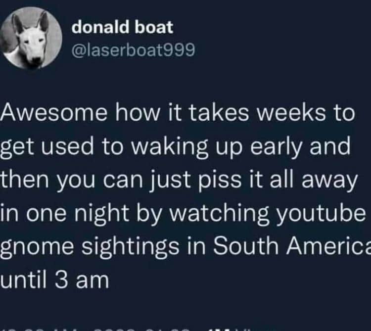 oddly specific memes, niche memes, hyper-focused comedy, niche inside jokes, targeted humor, situational humor, context-based gags, scenario-driven quips, environment-based laughs, micro-audience jokes, subculture comedy, special-interest references, weirdly relatable, oddly universal, surprising parallels, uncanny familiarity