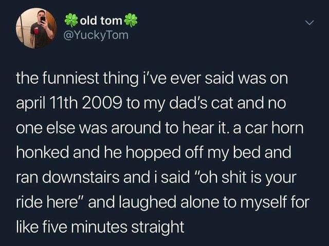 oddly specific memes, niche memes, hyper-focused comedy, niche inside jokes, targeted humor, situational humor, context-based gags, scenario-driven quips, environment-based laughs, micro-audience jokes, subculture comedy, special-interest references, weirdly relatable, oddly universal, surprising parallels, uncanny familiarity