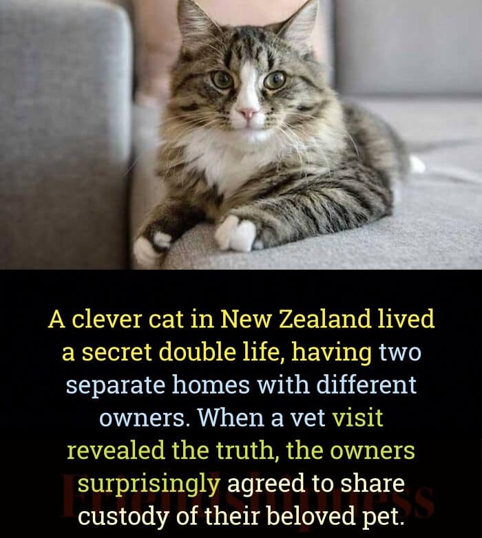 random facts, interesting facts, trivial tidbits, offbeat knowledge, unexpected trivia, weird facts, bizarre truths, quirky trivia, odd tidbits, useless knowledge, irrelevant data, inconsequential info, unimportant tidbits, fun facts, interesting snippets, curious trivia, lighthearted info