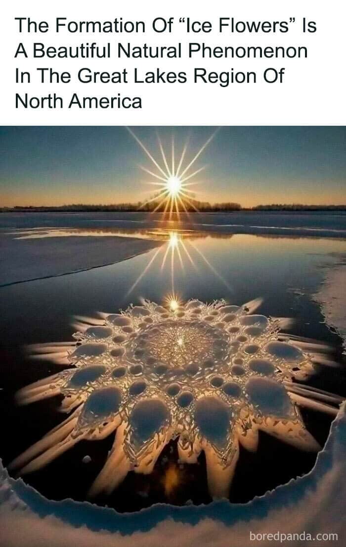 random facts, interesting facts, trivial tidbits, offbeat knowledge, unexpected trivia, weird facts, bizarre truths, quirky trivia, odd tidbits, useless knowledge, irrelevant data, inconsequential info, unimportant tidbits, fun facts, interesting snippets, curious trivia, lighthearted info