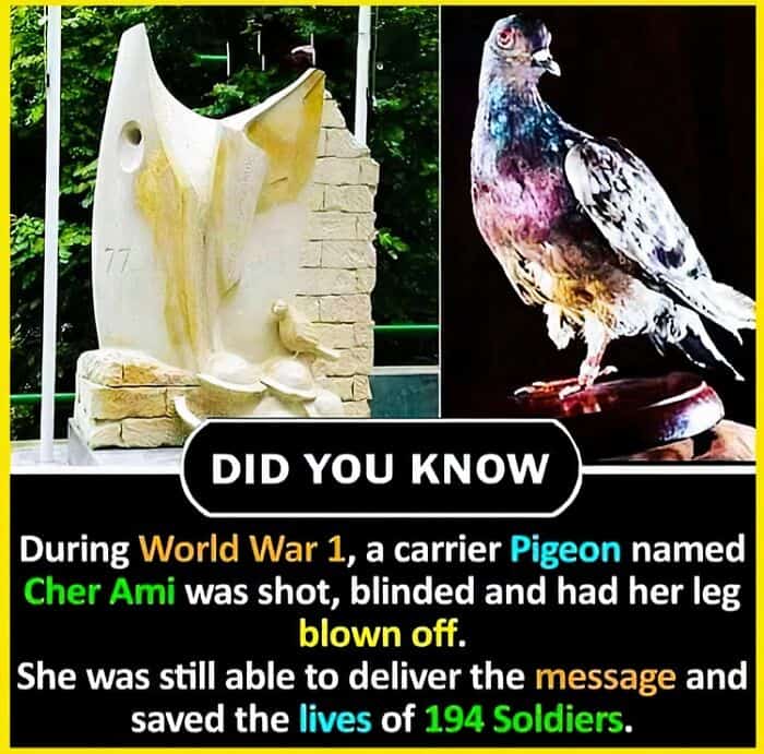 random facts, interesting facts, trivial tidbits, offbeat knowledge, unexpected trivia, weird facts, bizarre truths, quirky trivia, odd tidbits, useless knowledge, irrelevant data, inconsequential info, unimportant tidbits, fun facts, interesting snippets, curious trivia, lighthearted info