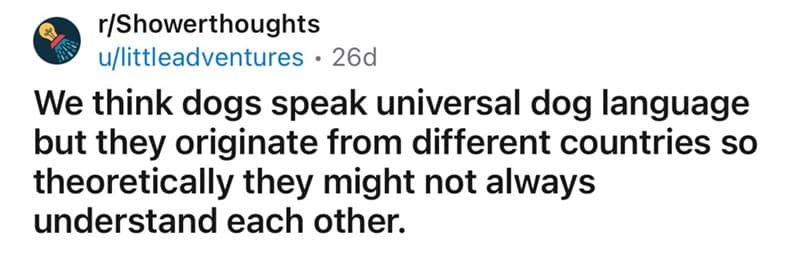 We think dogs speak universal dog language but they originate from different countries so theoretically they might not always understand each other.