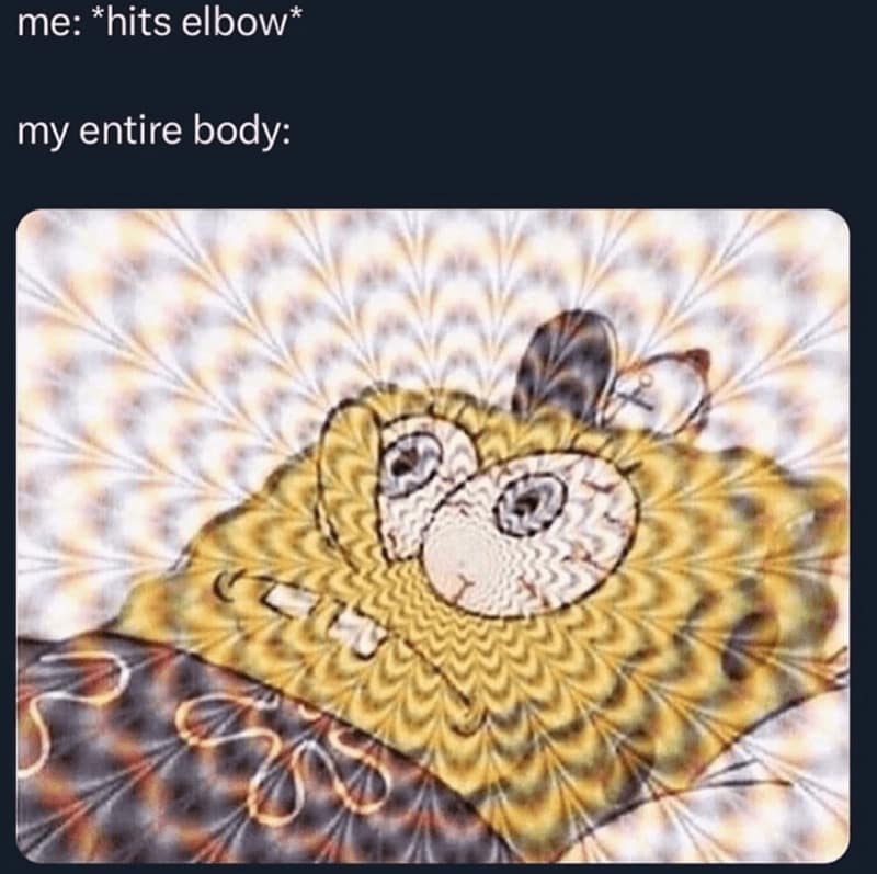 spongebob memes, Bikini Bottom memes, Spongebob humor, Spongebob jokes, patrick memes, squidward memes, plankton memes, Bikini Bottom jokes, cartoon memes