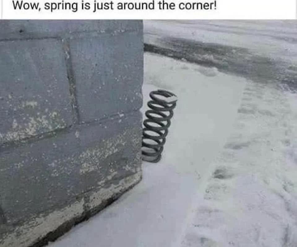 spring meme, spring memes, springtime memes, spring jokes, vernal humor, blooming laughs, seasonal memes, annual gags, cyclical chuckles, recurring humor, funny spring, comedic March vibes, whimsical thaw humor, sunny one-liners, spring humor, budding comedy, warming laughs, lighter-season fun