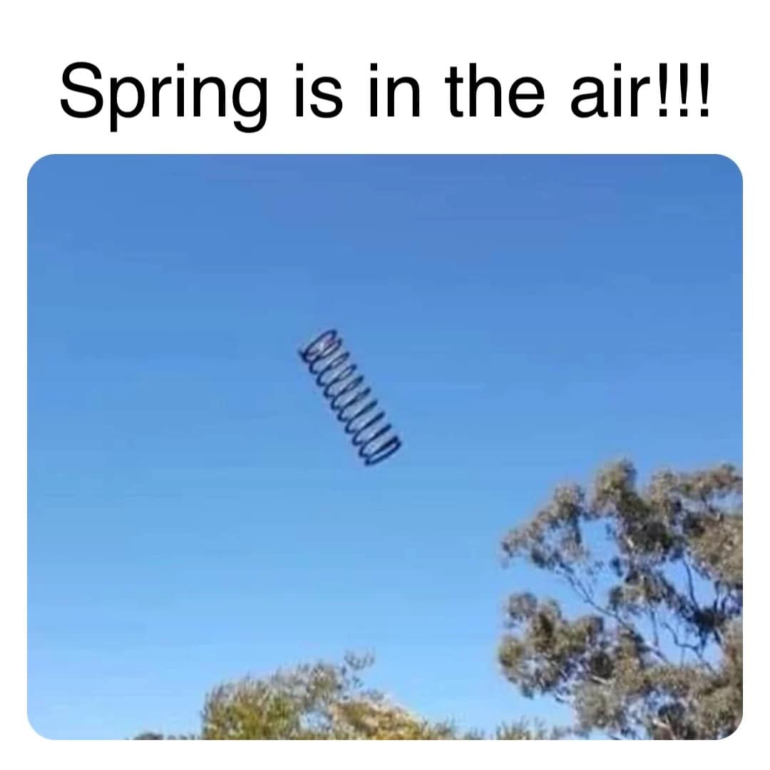 spring meme, spring memes, springtime memes, spring jokes, vernal humor, blooming laughs, seasonal memes, annual gags, cyclical chuckles, recurring humor, funny spring, comedic March vibes, whimsical thaw humor, sunny one-liners, spring humor, budding comedy, warming laughs, lighter-season fun