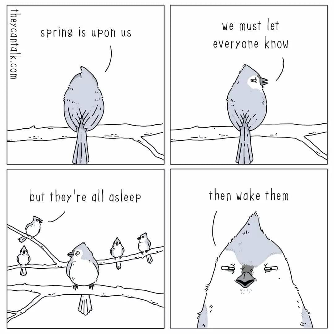 spring meme, spring memes, springtime memes, spring jokes, vernal humor, blooming laughs, seasonal memes, annual gags, cyclical chuckles, recurring humor, funny spring, comedic March vibes, whimsical thaw humor, sunny one-liners, spring humor, budding comedy, warming laughs, lighter-season fun