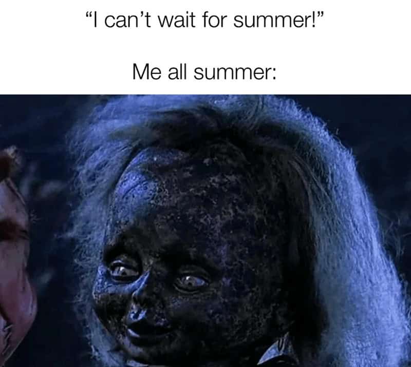 summer memes, sunny memes, beach memes, summer vibes, summer humor, summer jokes, sunny vibes, beach humor