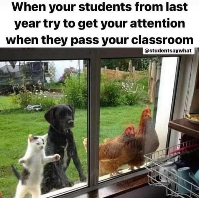 teacher memes, funny teacher memes, school memes, educator laughs, instructor humor, classroom jokes, funny teacher quotes, witty educator remarks, humorous teaching lines, academic comedy, student-teacher jests, teacher life jokes, staff room wit, faculty humor