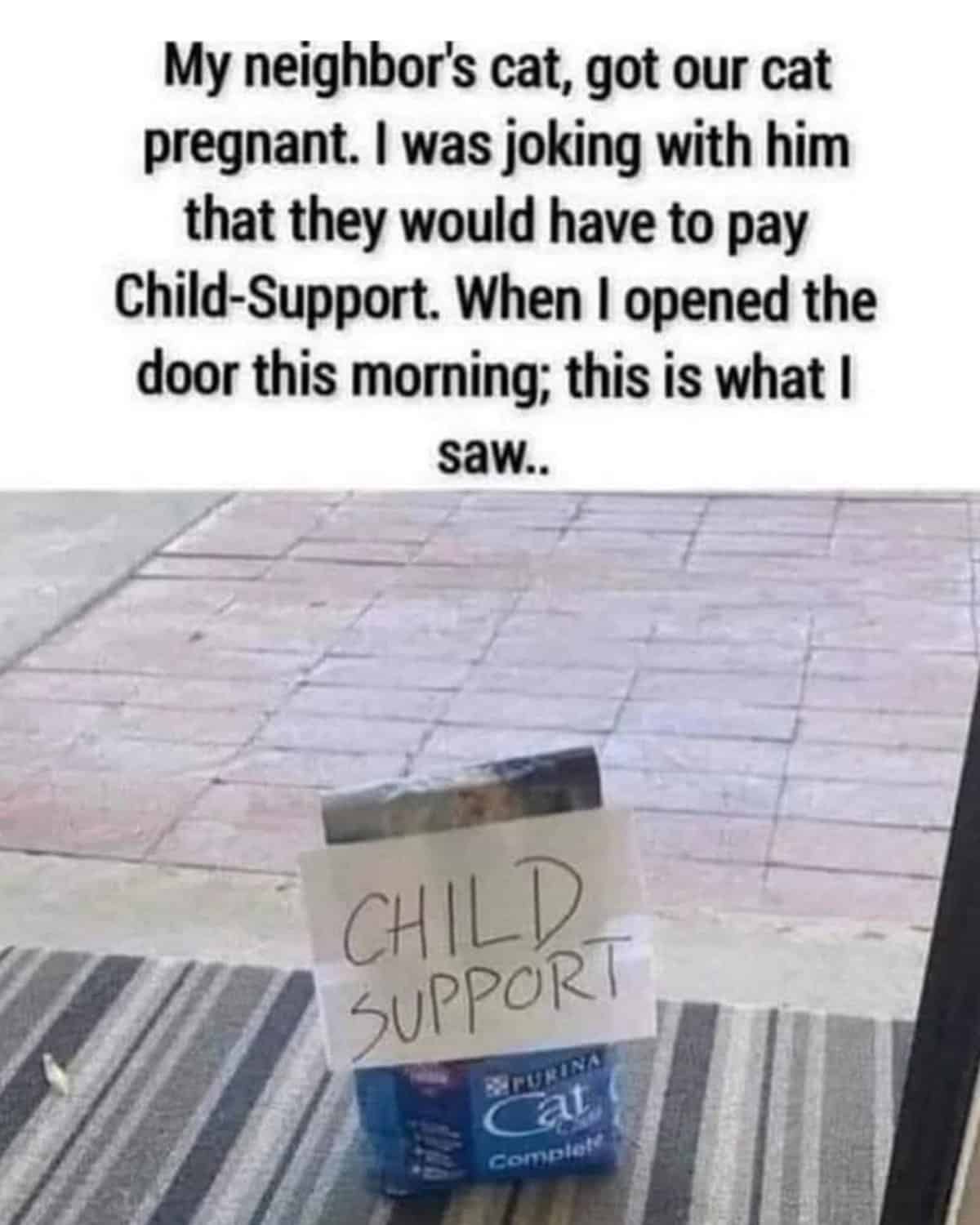 technically correct meme, technically correct meme, accurate memes, literal memes, pedantic humor, absurd humor, perfectionist memes, logical jokes, precise memes, exact humor, nitpicking jokes