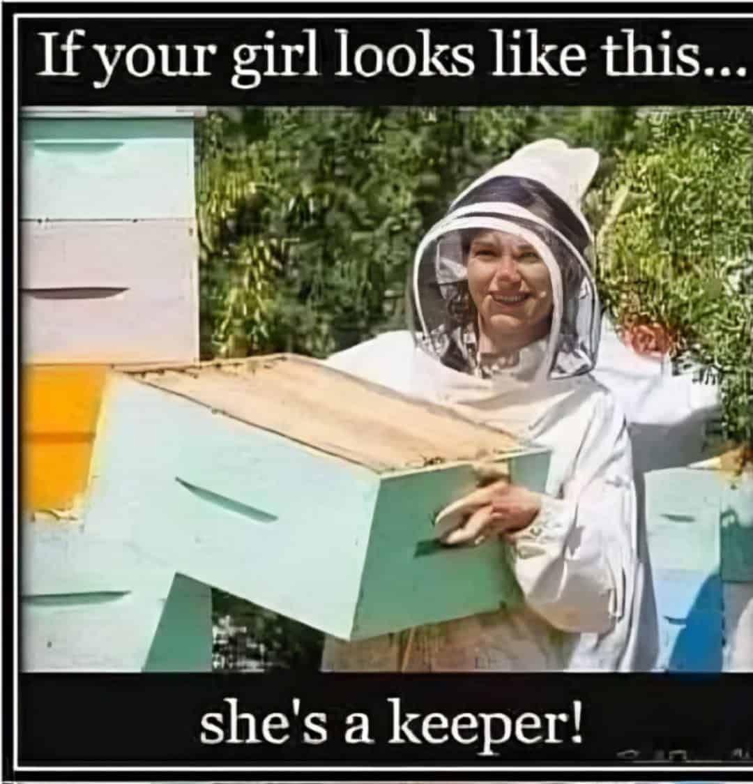 technically correct meme, technically correct meme, accurate memes, literal memes, pedantic humor, absurd humor, perfectionist memes, logical jokes, precise memes, exact humor, nitpicking jokes