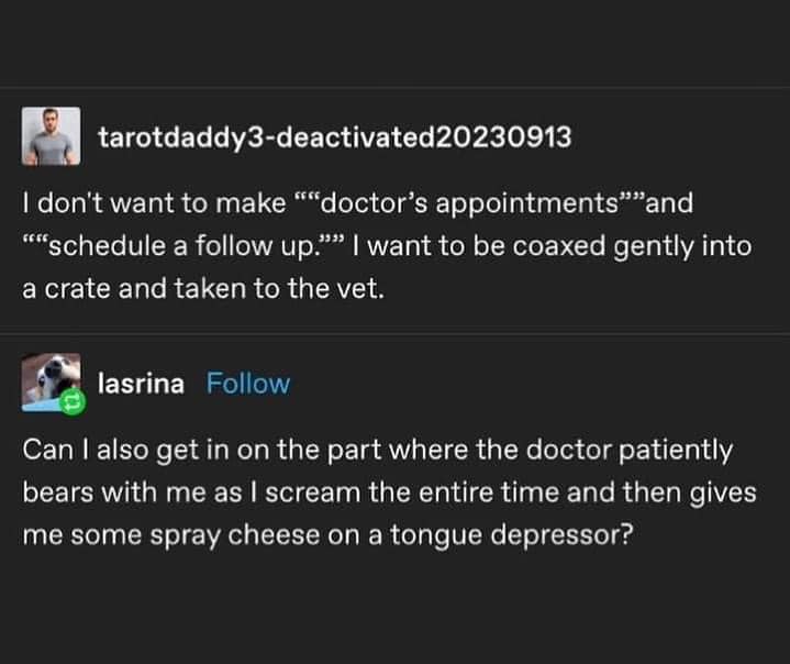 tumblr memes, best tumblr text posts, Tumblr text posts, internet humor, chaotic memes, existential memes, absurd humor, relatable posts, adulting jokes, modern life memes, funny tumblr