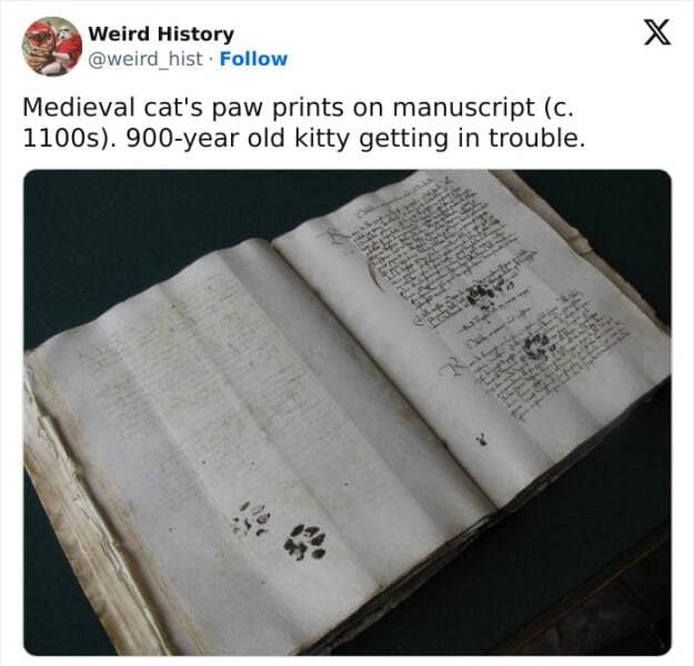 Medieval cat's paw prints on manuscript (c. 1100s). 900-year old kitty getting in trouble.