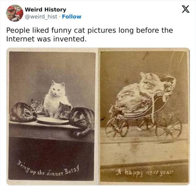 People liked funny cat pictures long before the Internet was invented.
