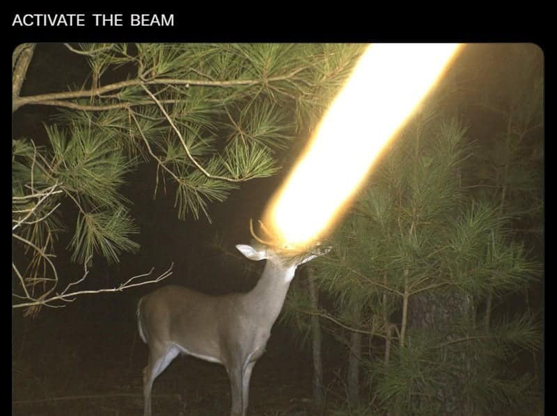 animal memes, funny animal memes, pet memes, funny animal pictures, humorous pet memes, dog memes, cat memes, cute animal memes, canine humor, feline jokes, adorable animal images