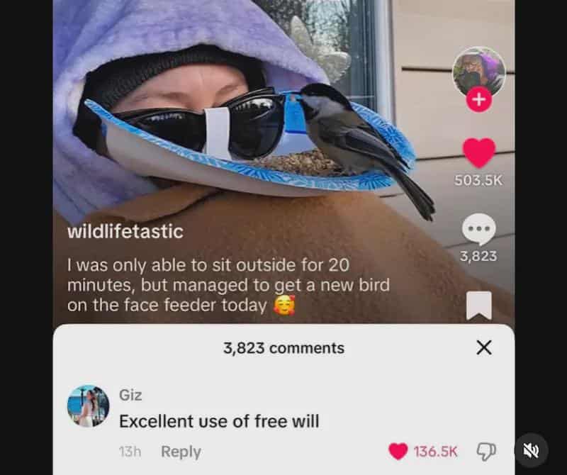 I was only able to sit outside for 20 minutes, but managed to get a new bird on the face feeder today