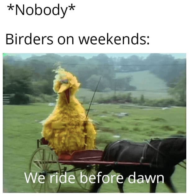 *Nobody* Birders on weekends: We ride before dawn