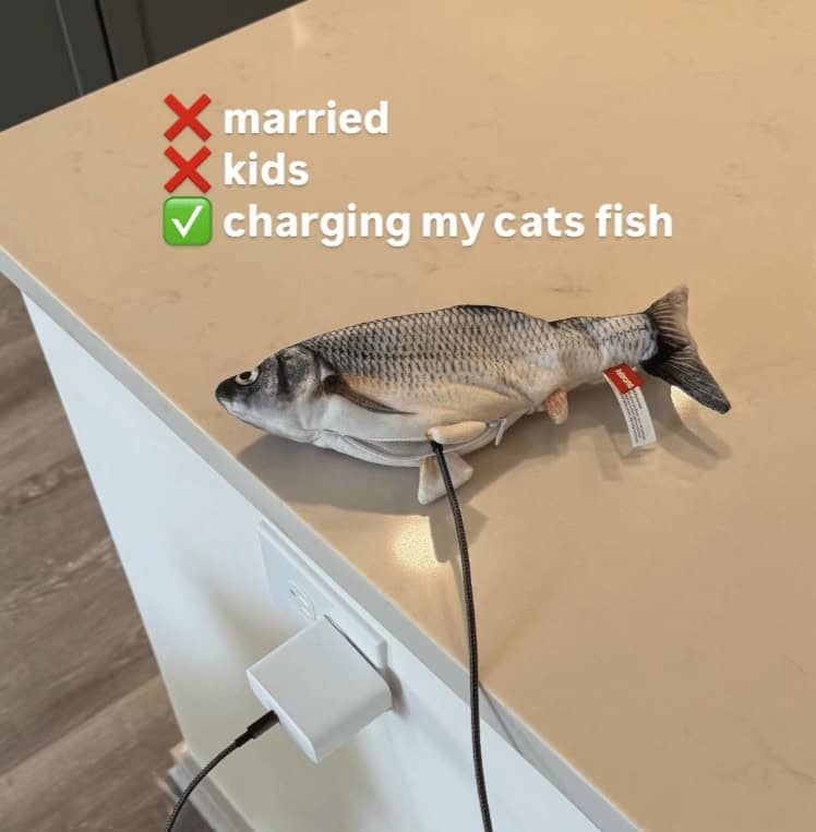 married kids charging my cats fish