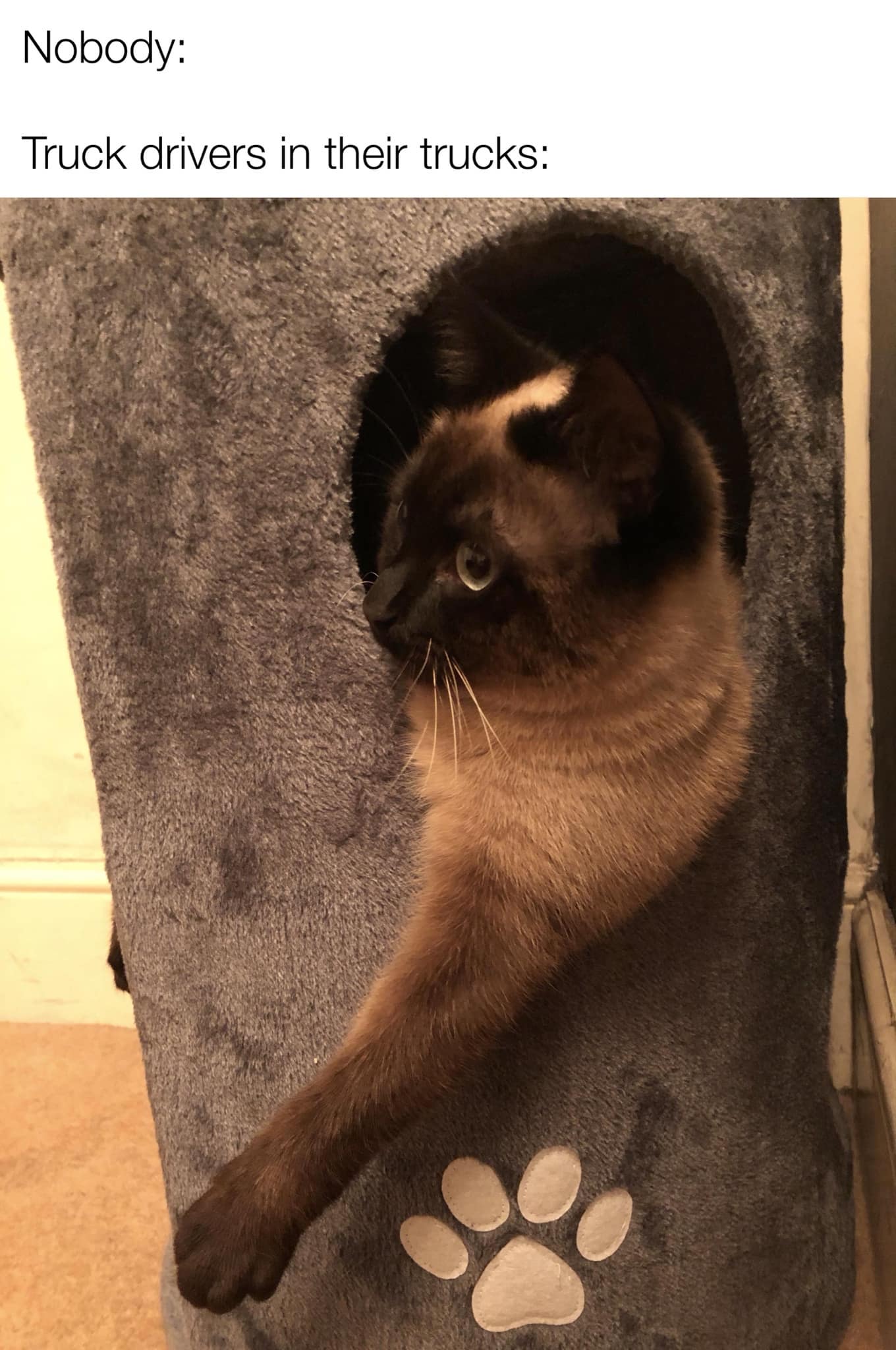 classic memes, vintage memes, viral tweets, best memes, old memes, retro memes, past memes