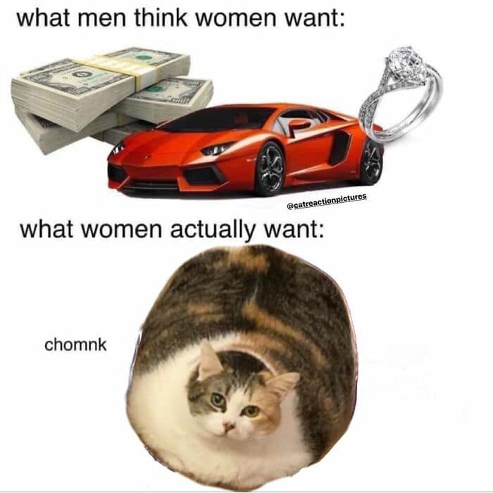what men think women want: @catreactionpictures what women actually want: chomnk