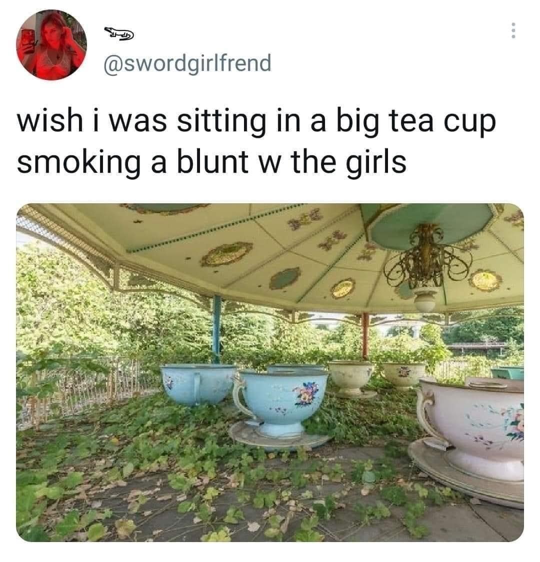 classic memes, vintage memes, viral tweets, enduring memes, timeless memes, legendary memes, tweet mania, trending text bursts, internet references, online nostalgia, web throwbacks, old memes, best memes