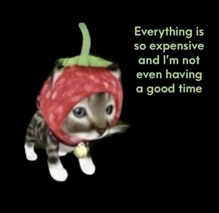 classic memes, vintage memes viral tweets, timeless memes, viral memes, popular memes, internet-famous memes, trending memes throwback memes, retro memes, old-school memes, past memes, relatable memes, everyday memes, universal memes, life memes