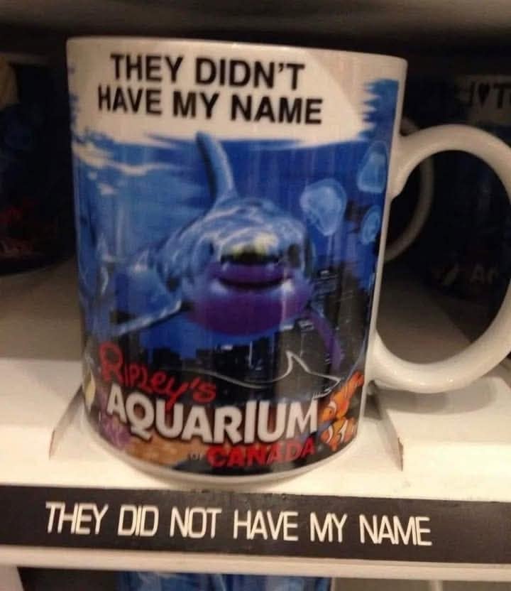 THEY DIDN'T HAVE MY NAME Reus AQUARIUM WCANA DAS THEY DID NOT HAVE MY NAME