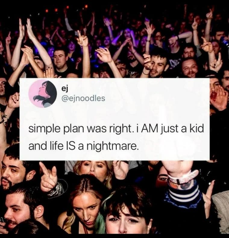 ej @ejnoodles simple plan was right. i AM just a kid and life IS a nightmare.