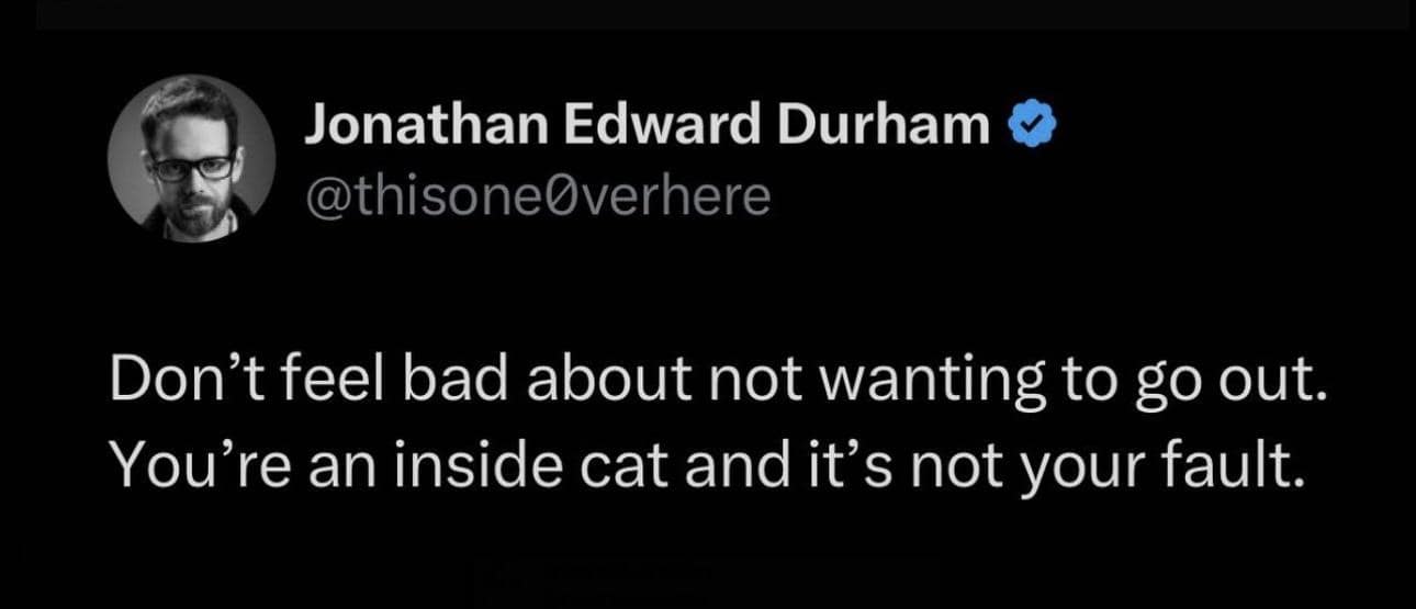Jonathan Edward Durham © @thisoneOverhere Don't feel bad about not wanting to go out. You're an inside cat and it's not your fault.