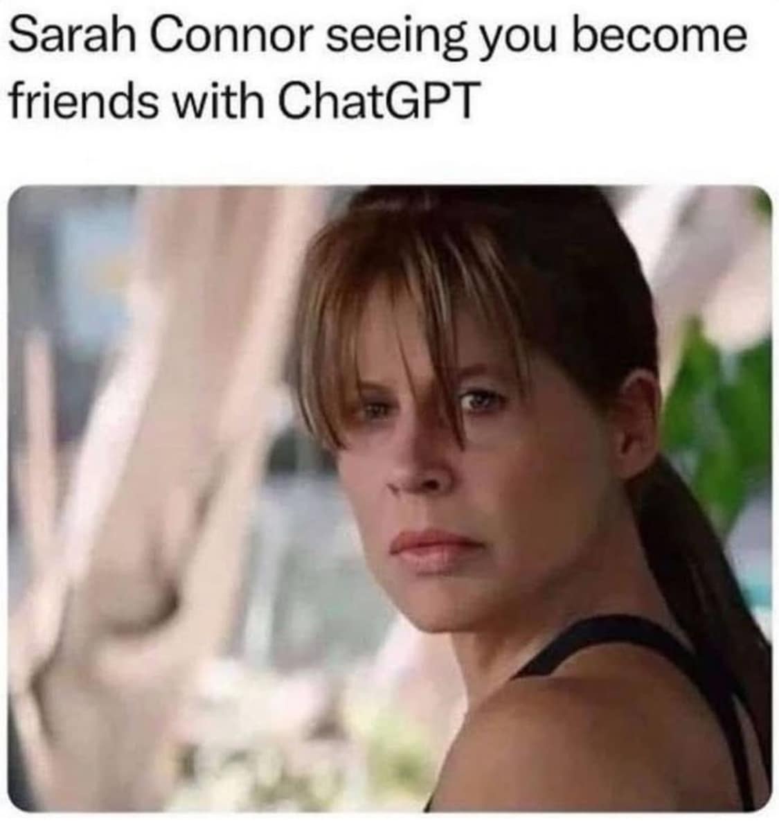 Sarah Connor seeing you become friends with ChatGPT