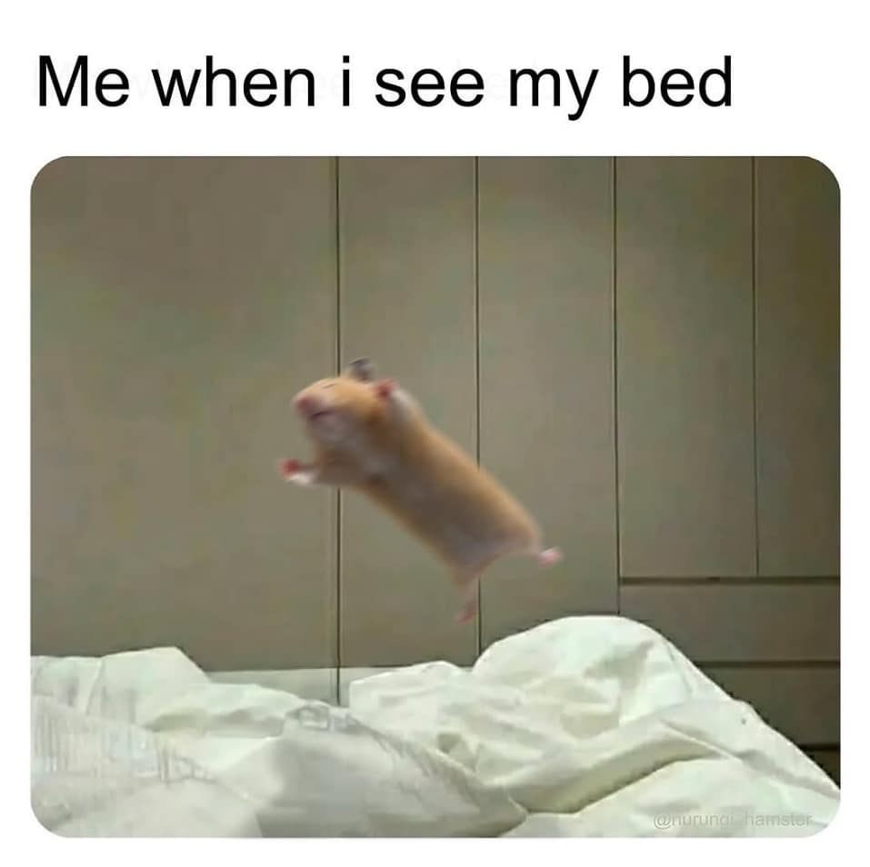 classic memes, vintage memes, viral tweets, timeless memes, popular memes, iconic memes, viral memes, trending memes, popular tweets, viral internet content funny tweets, humorous posts, witty tweets, sarcastic tweets, nostalgia memes, throwback memes, retro memes, old memes, best memes