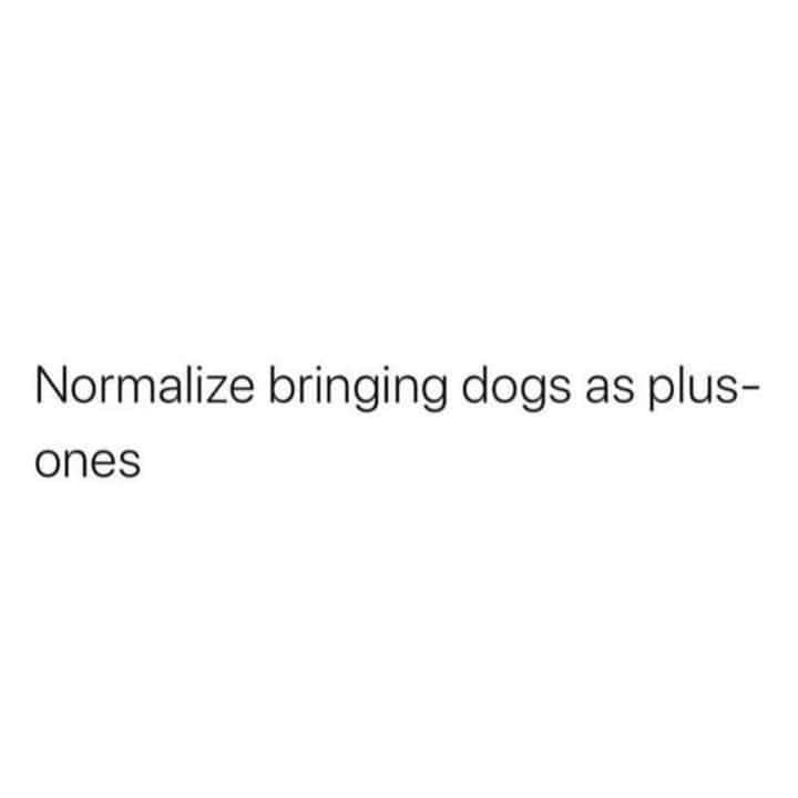 Normalize bringing dogs as plus- ones