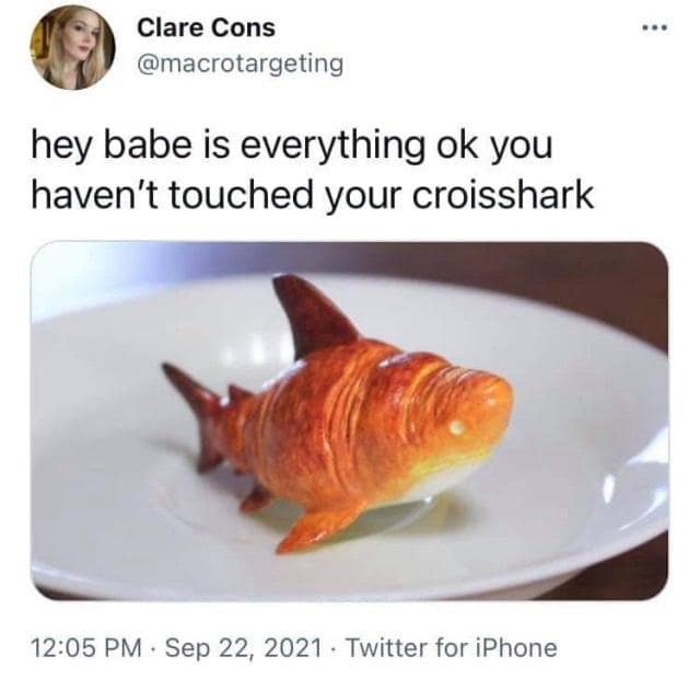Clare Cons @macrotargeting hey babe is everything ok you haven't touched your croisshark 12:05 PM • Sep 22, 2021 • Twitter for iPhone