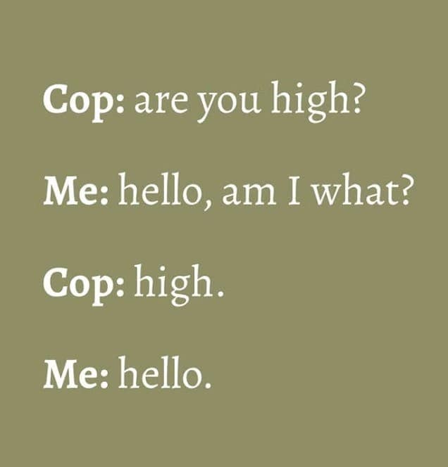 clever wordplay, wordplay memes, witty memes, linguistic humor, language puns, funny grammar memes, pun memes, smart humor, humorous language memes, intelligent jokes, playful linguistic memes