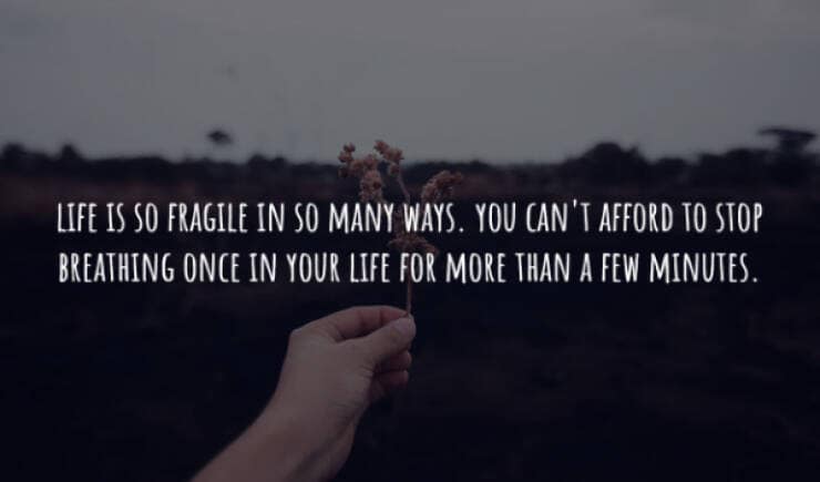 creepy facts, spooky facts, scary facts, eerie facts, chilling facts, disturbing facts, unsettling facts, frightening facts. bizarre facts, weird facts, unusual facts, odd facts