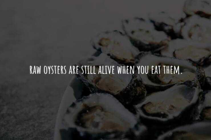 creepy facts, spooky facts, scary facts, eerie facts, chilling facts, disturbing facts, unsettling facts, frightening facts. bizarre facts, weird facts, unusual facts, odd facts