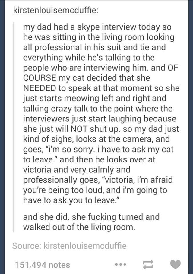 my dad had a skype interview today so he was sitting in the living room looking all professional in his suit and tie and everything while he's talking to the people who are interviewing him. and OF COURSE my cat decided that she NEEDED to speak at that moment so she just starts meowing left and right and talking crazy talk to the point where the interviewers just start laughing because she just will NOT shut up.