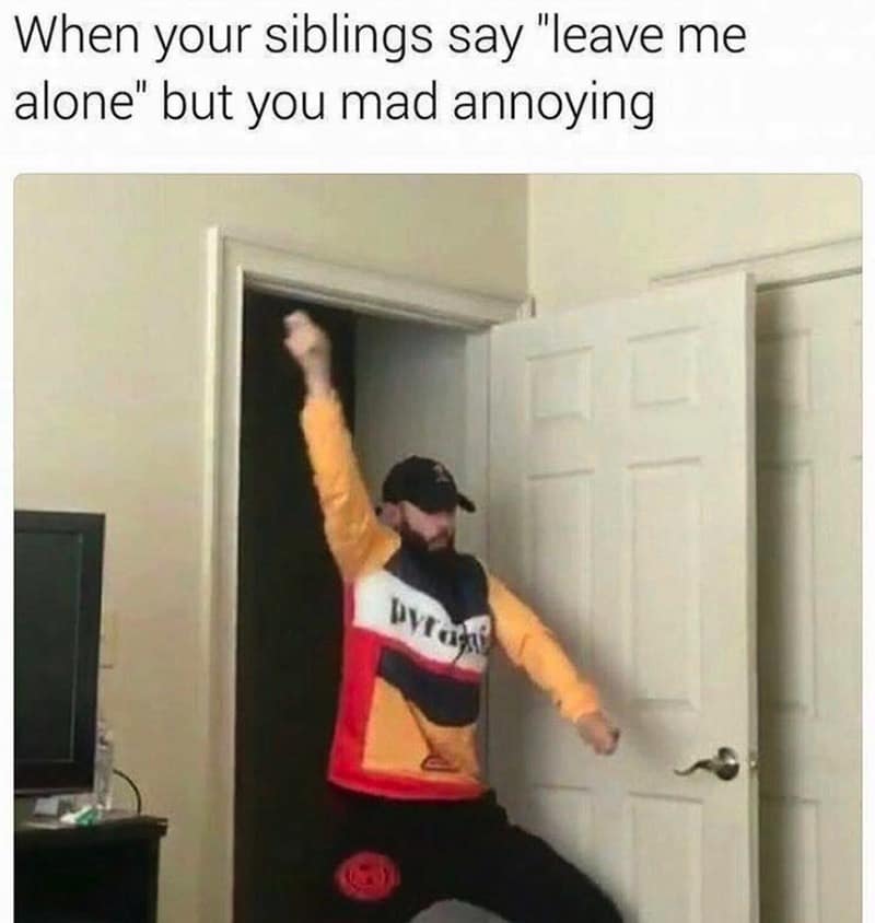 family memes, kin memes, household memes, clan memes, parenting humor, parental satire, guardian wit, family jokes, domestic laughter, home-life quips