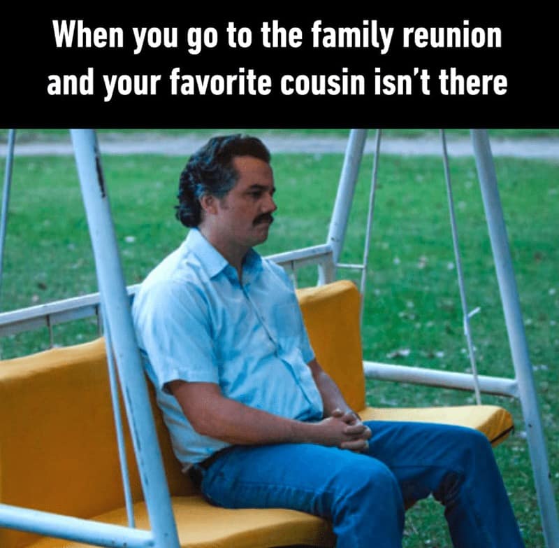 family memes, kin memes, household memes, clan memes, parenting humor, parental satire, guardian wit, family jokes, domestic laughter, home-life quips