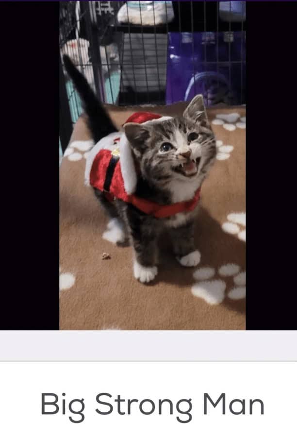 Big Strong Man