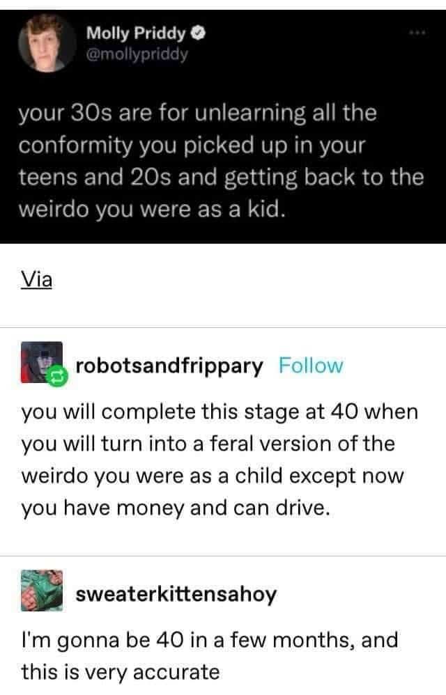 your 30s are for unlearning all the conformity you picked up in your teens and 20s and getting back to the weirdo you were as a kid.