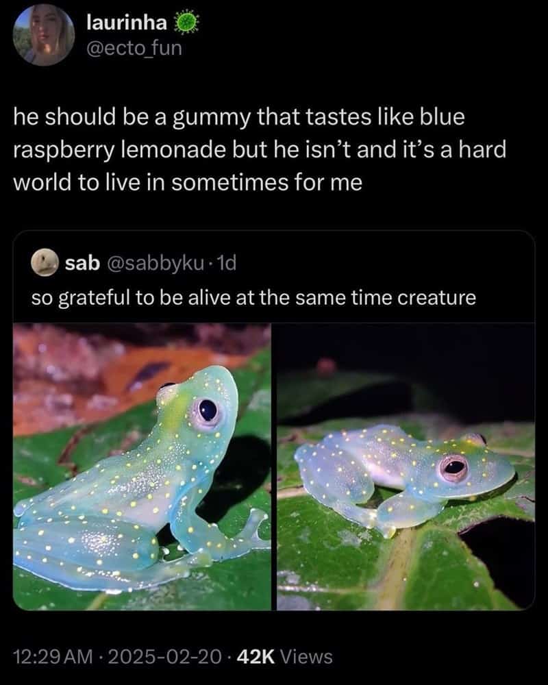 he should be a gummy that tastes like blue raspberry lemonade but he isn't and it's a hard world to live in sometimes for me