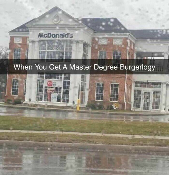 When You Get A Master Degree Burgerlogy