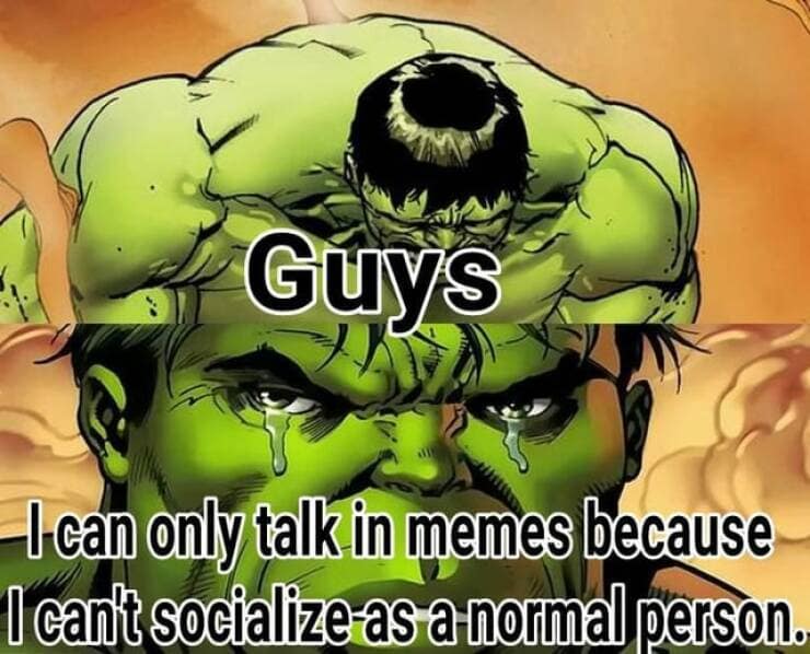 Guys I can only talk in memes because I can't socialize as a normal person.