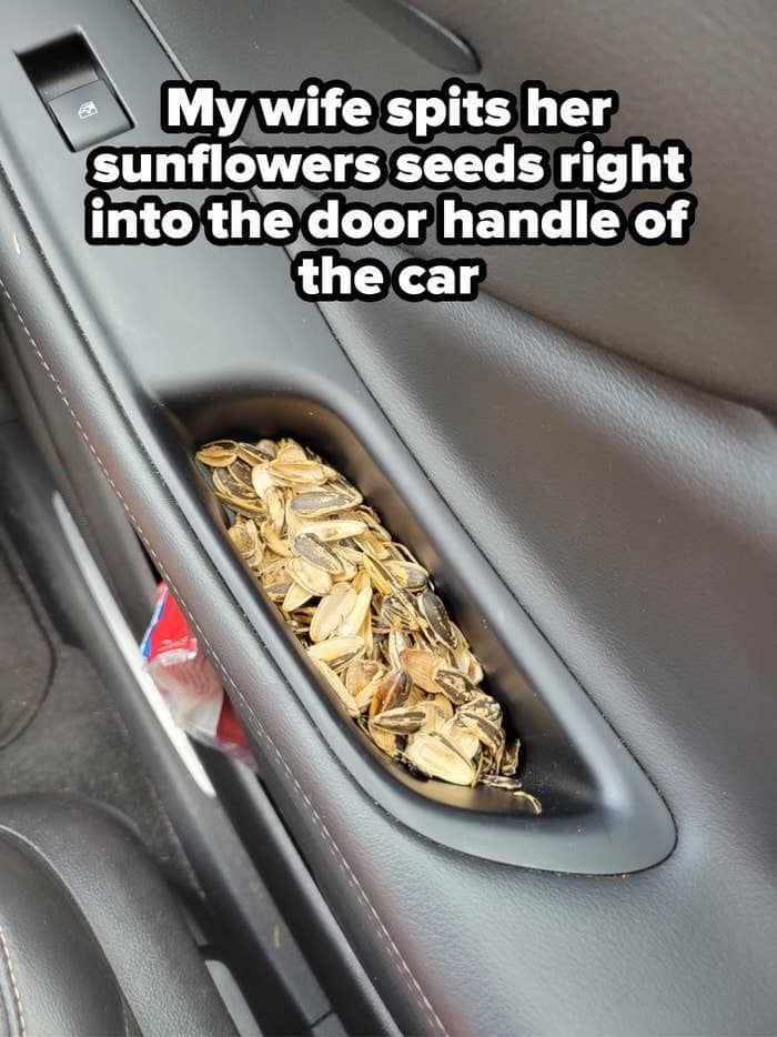 My wife spits her sunflowers seeds right into the door handle of the car