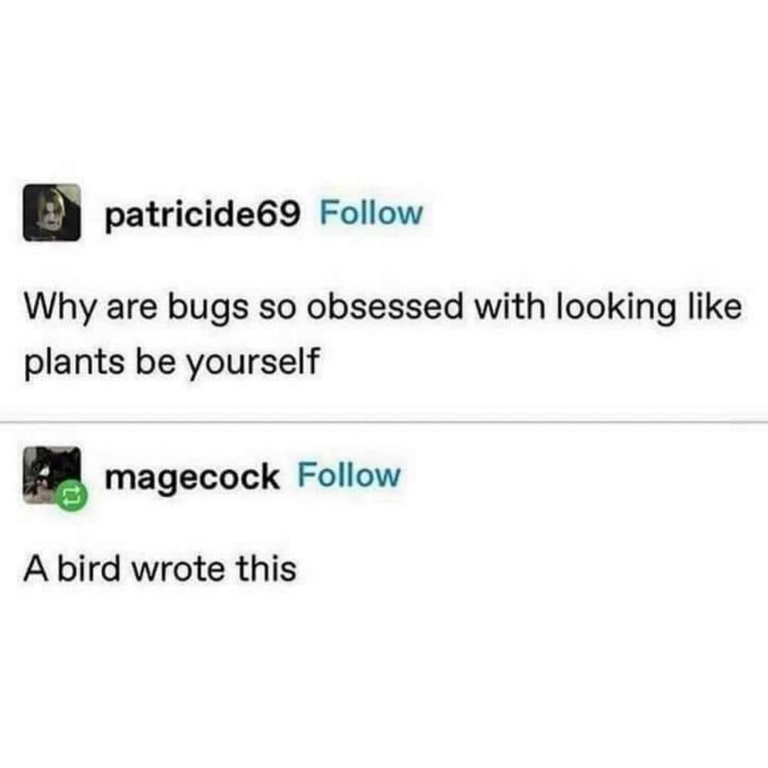 Why are bugs so obsessed with looking like plants be yourself