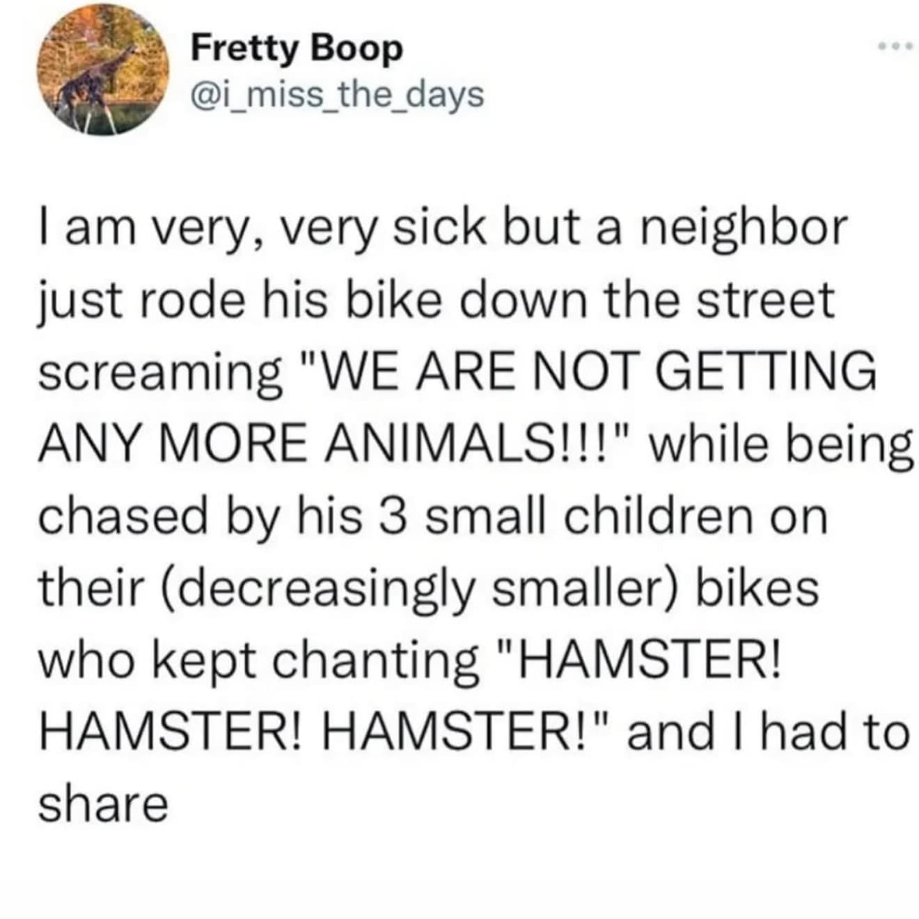 I am very, very sick but a neighbor just rode his bike down the street screaming "WE ARE NOT GETTING ANY MORE ANIMALS!!!" while being chased by his 3 small children on their (decreasingly smaller) bikes who kept chanting "HAMSTER! HAMSTER! HAMSTER!" and I had to share