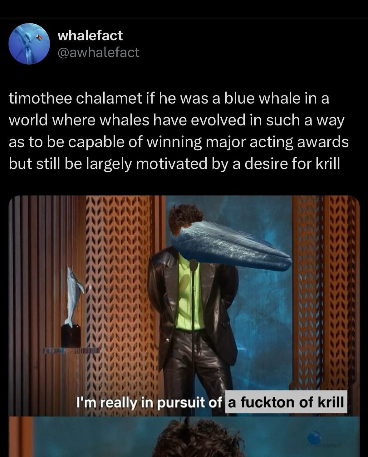 timothee chalamet if he was a blue whale in a world where whales have evolved in such a way as to be capable of winning major acting awards but still be largely motivated by a desire for krill